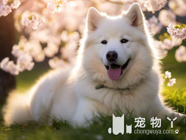 罗威纳犬是否凶猛？